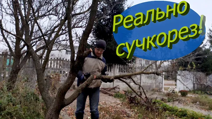 Аккумуляторная пила-сучкорез, обзор и испытание